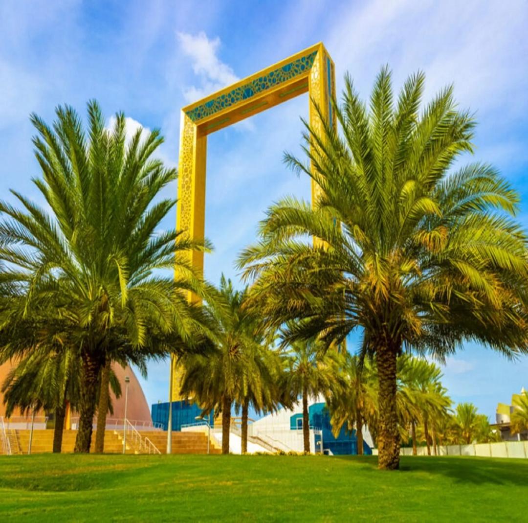 درختان نخل پارک زعبیل