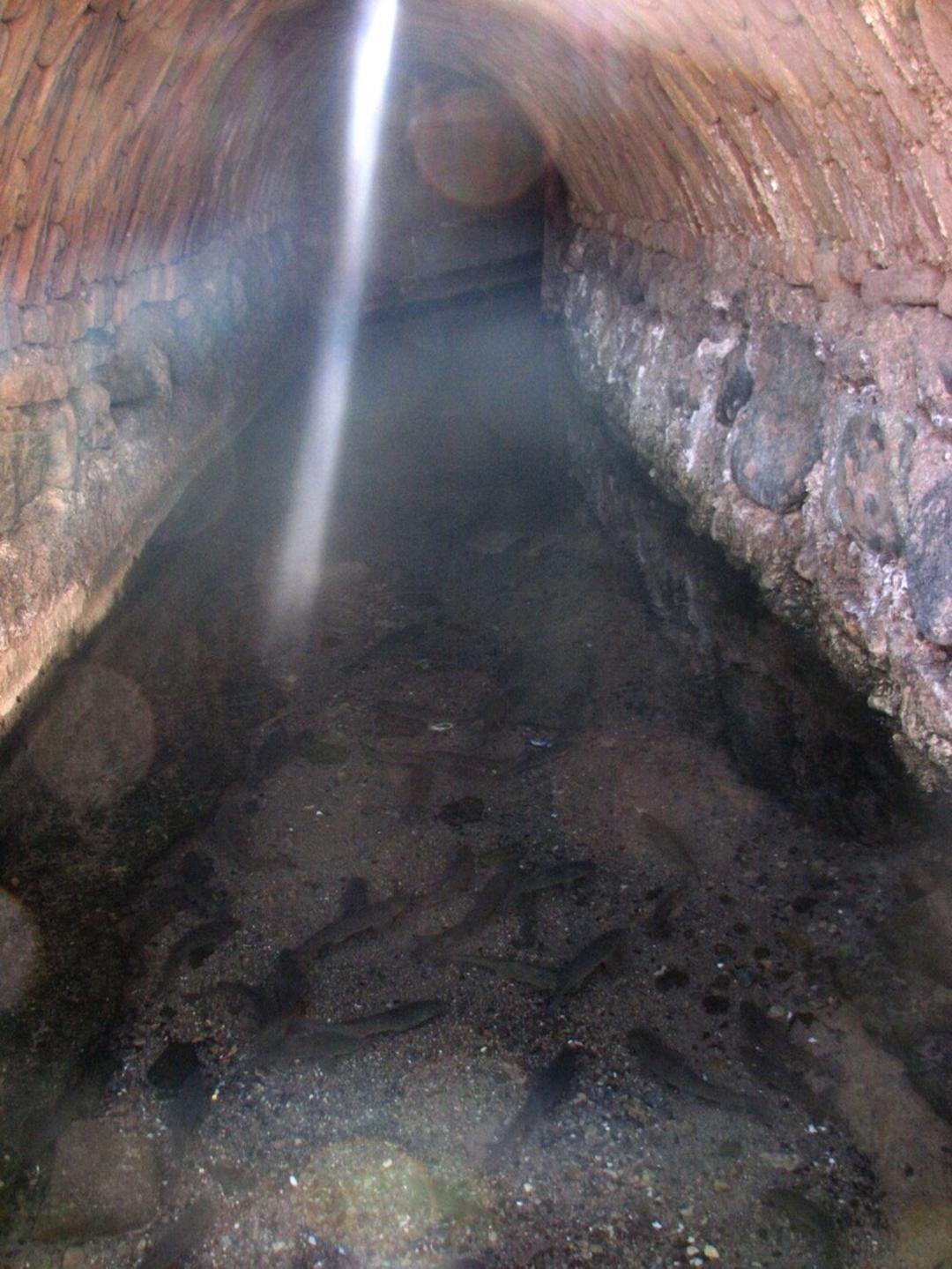 قنات مون اردستان