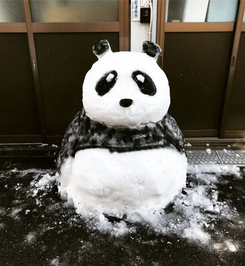 مجسمه پاندا (Panda) ساخته شده از برف روی زمین