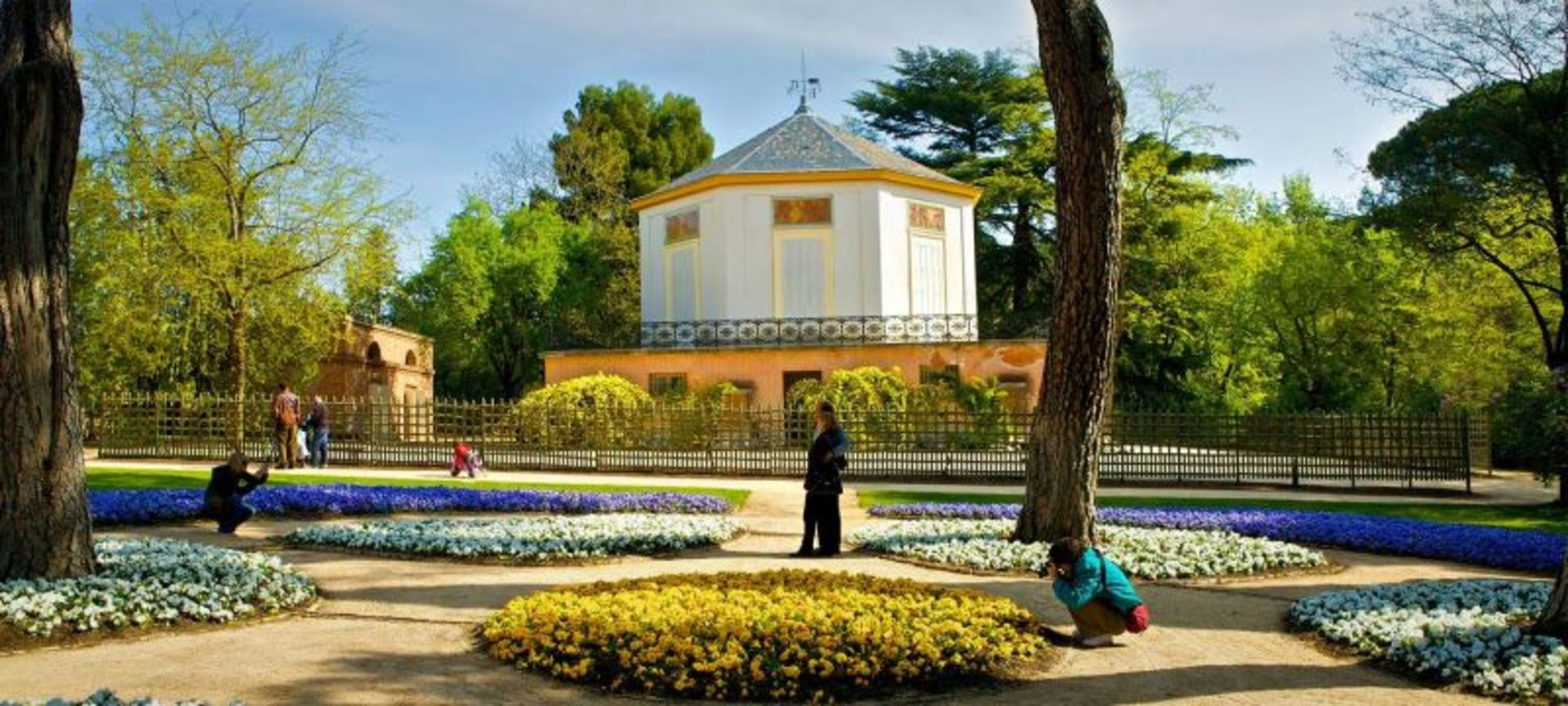 گردشگران در حال عکاسی در طبیعت پارک ال کاپریچو مادرید