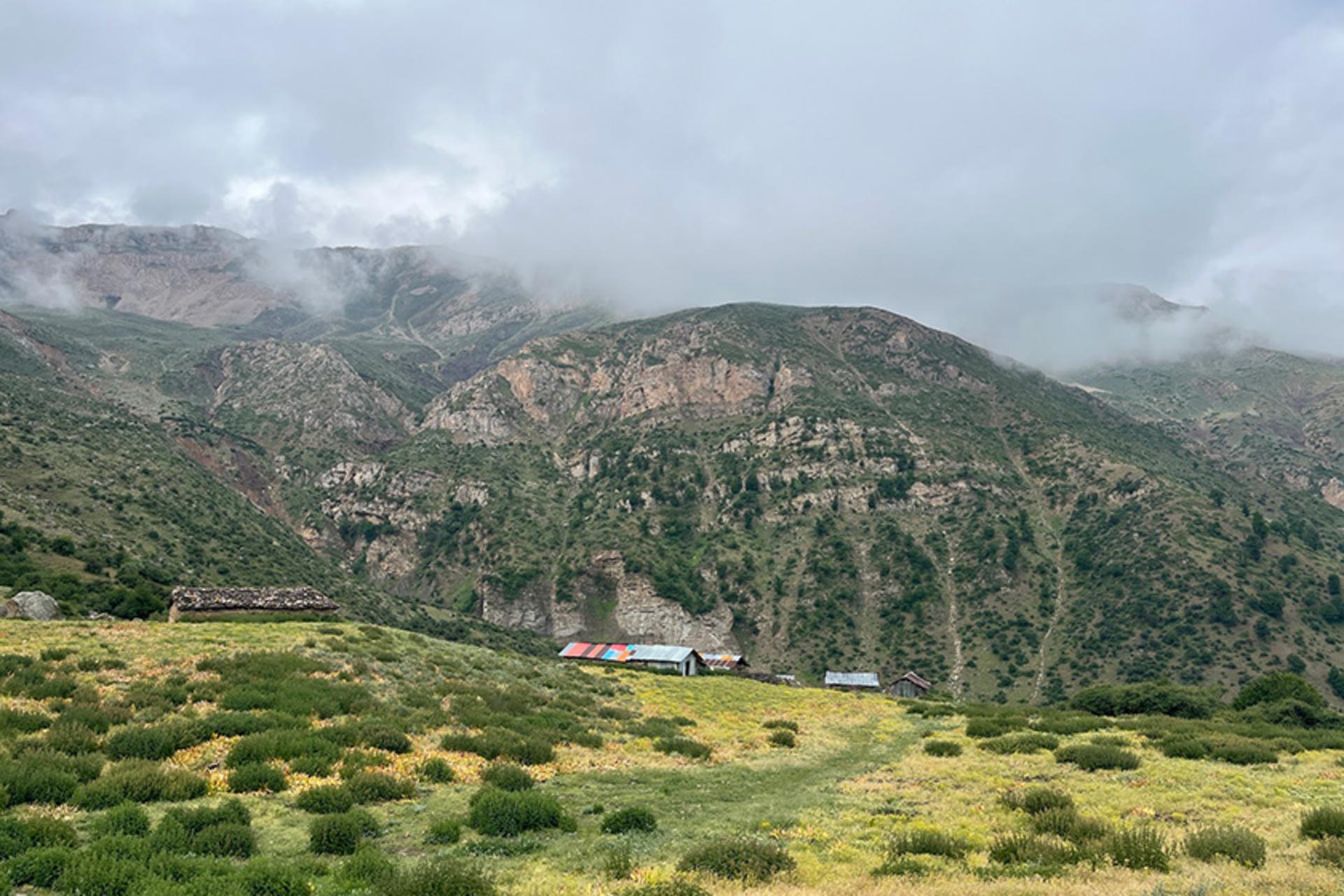 پوشش گیاهی دامنه های سرسبز اطراف روستای فیلبند