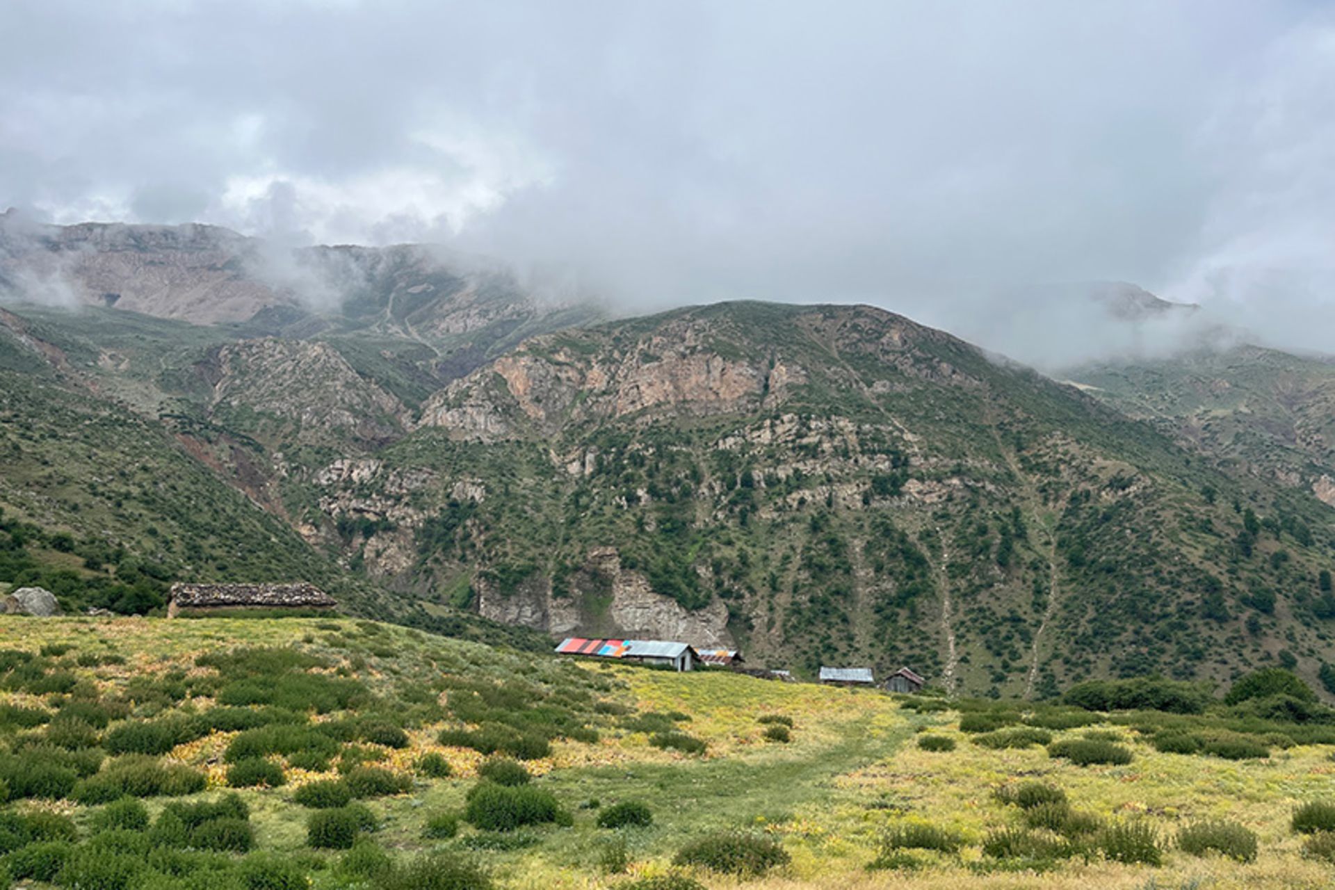 پوشش گیاهی دامنه های سرسبز اطراف روستای فیلبند