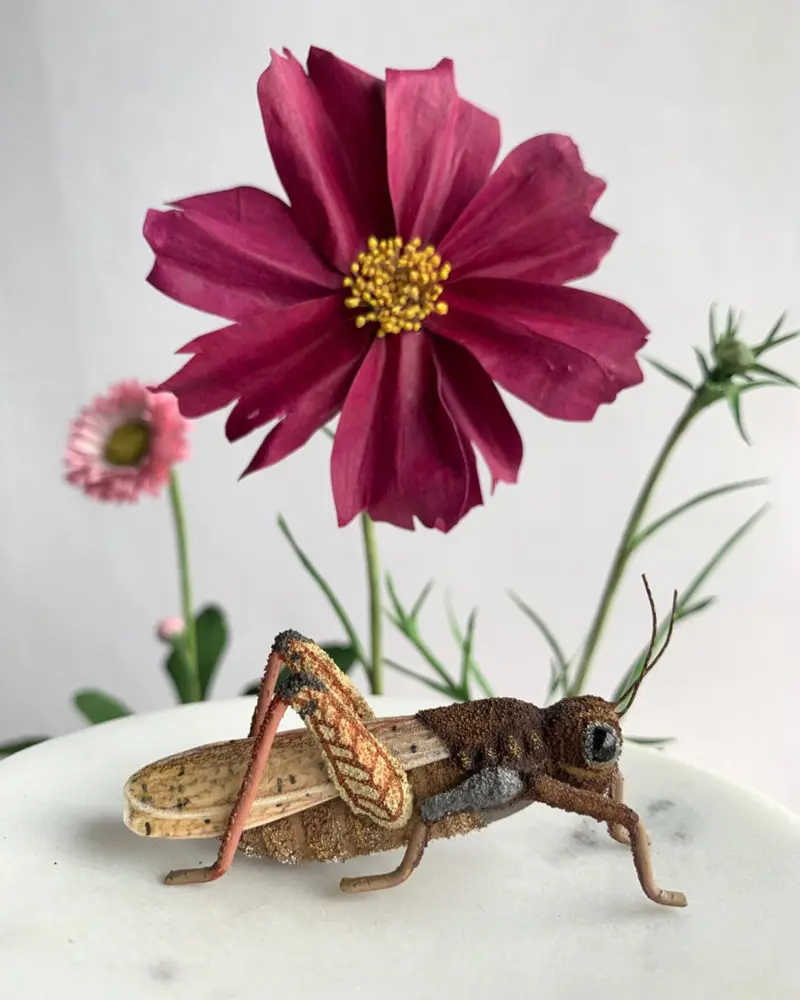 گل و حشره کاغذی
