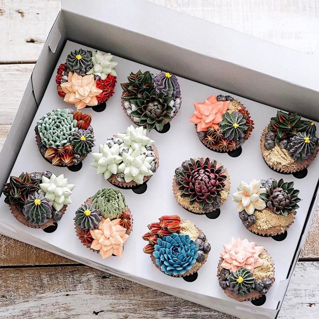 کاپ‌کیک‌های تزئین‌شده با کرم‌های شکل گل‌های ساکولنت (Succulent) در جعبه