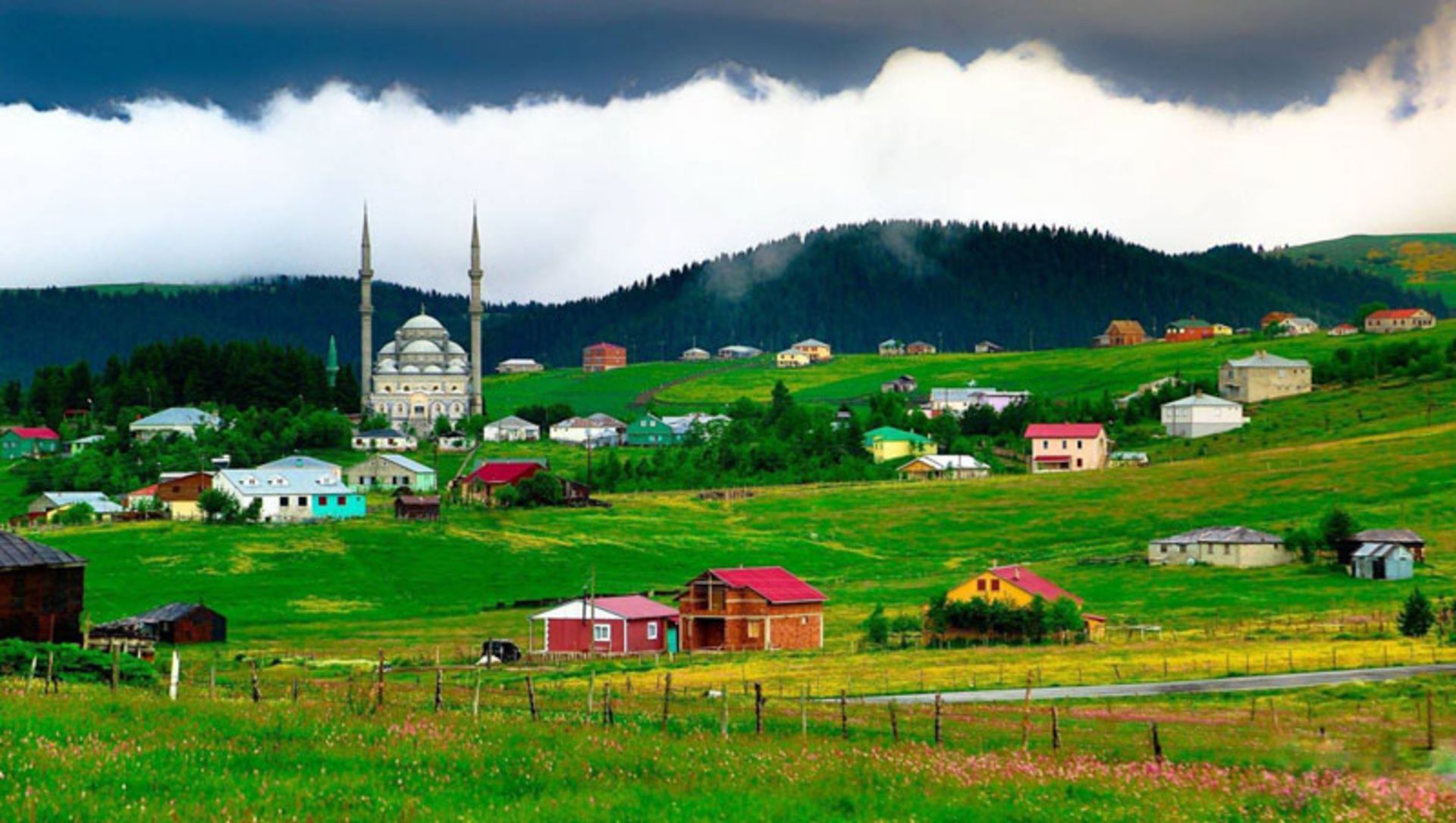 طبیعت سرسبز شهر ترابزون