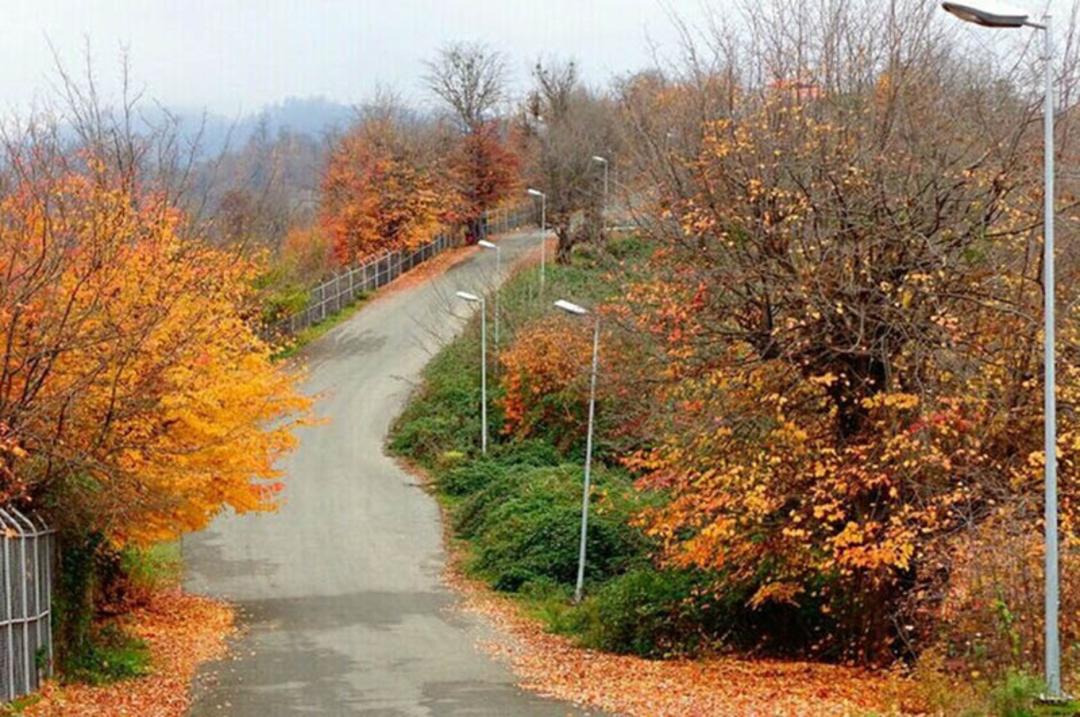 جاده کوهستانی تالش با درختان پاییزی با برگ‌های نارنجی و زرد