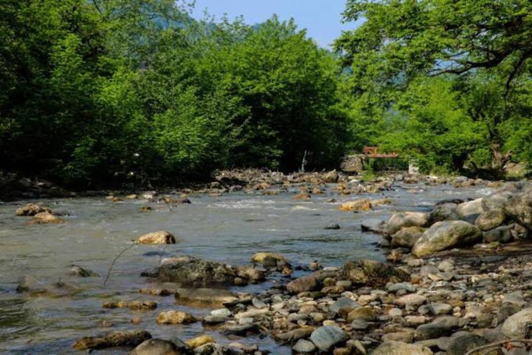 رودخانه جاری در میان جنگل‌های سبز و پردرخت منطقه تالش