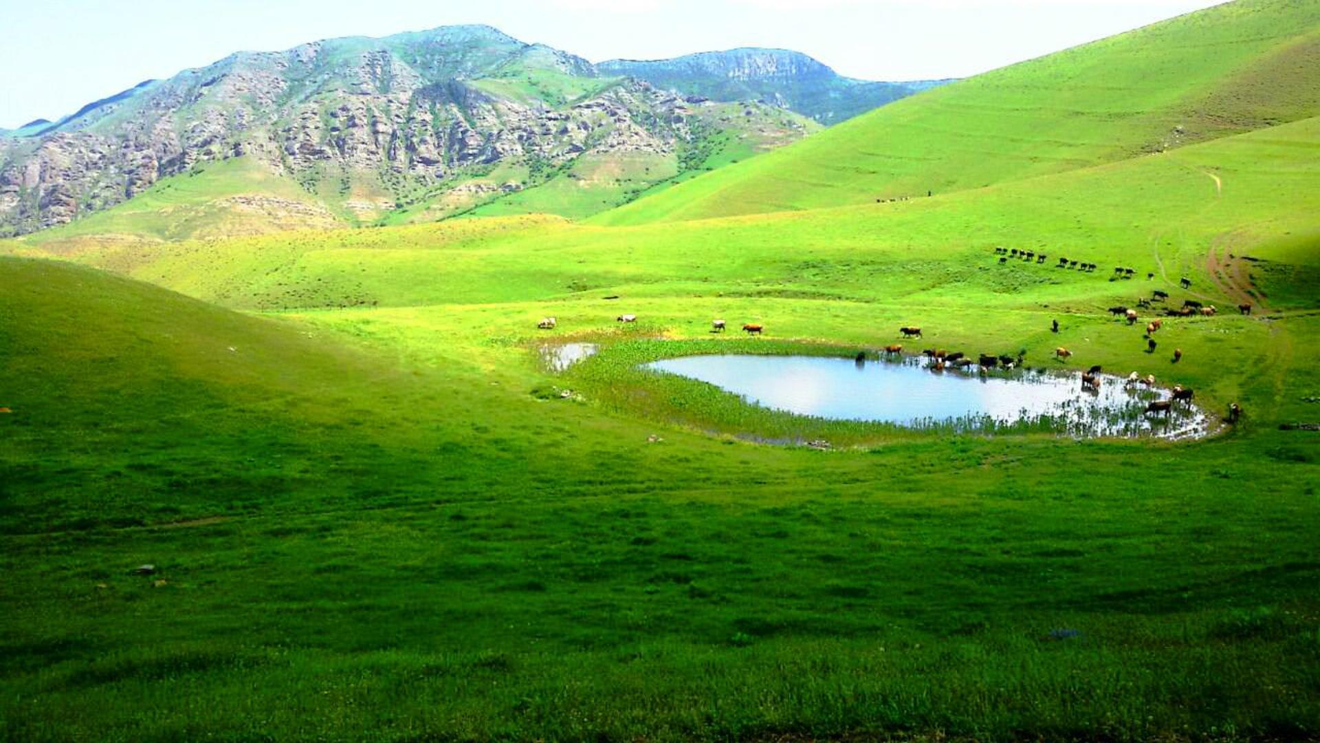 جاذبه گردشگری  دریاچه قالغانلو