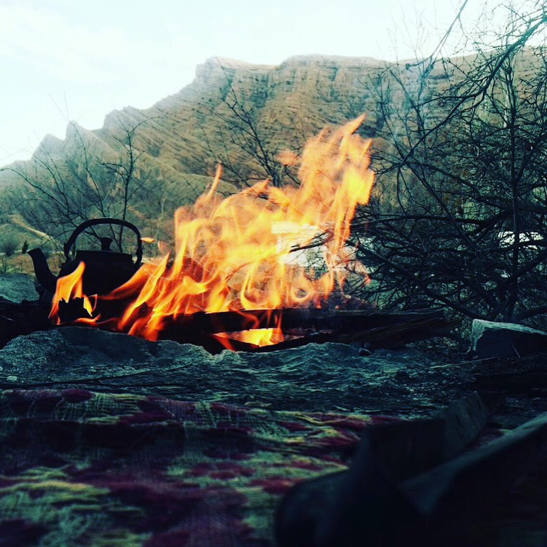 قلات،پارس،شيراز