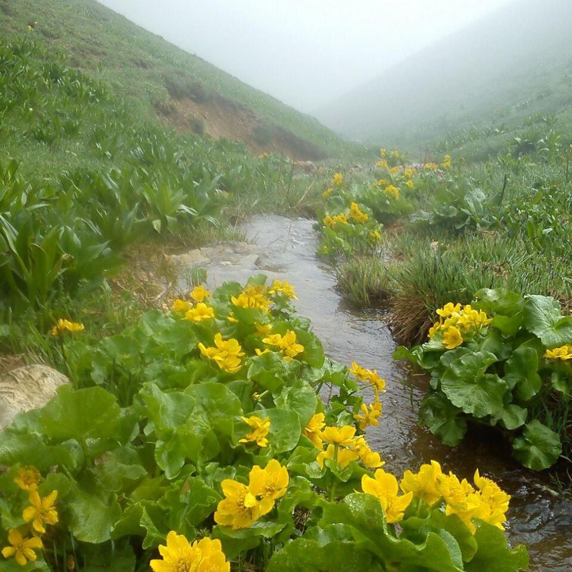 جاذبه گردشگری  روستای گردشگری لرد
