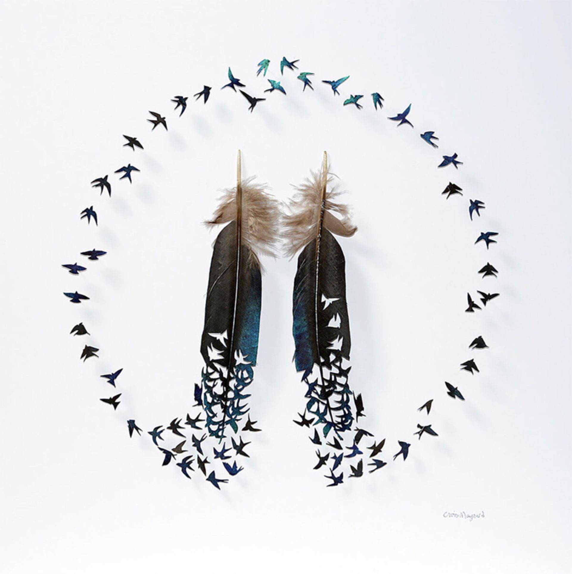 حلقه ای با دو پر