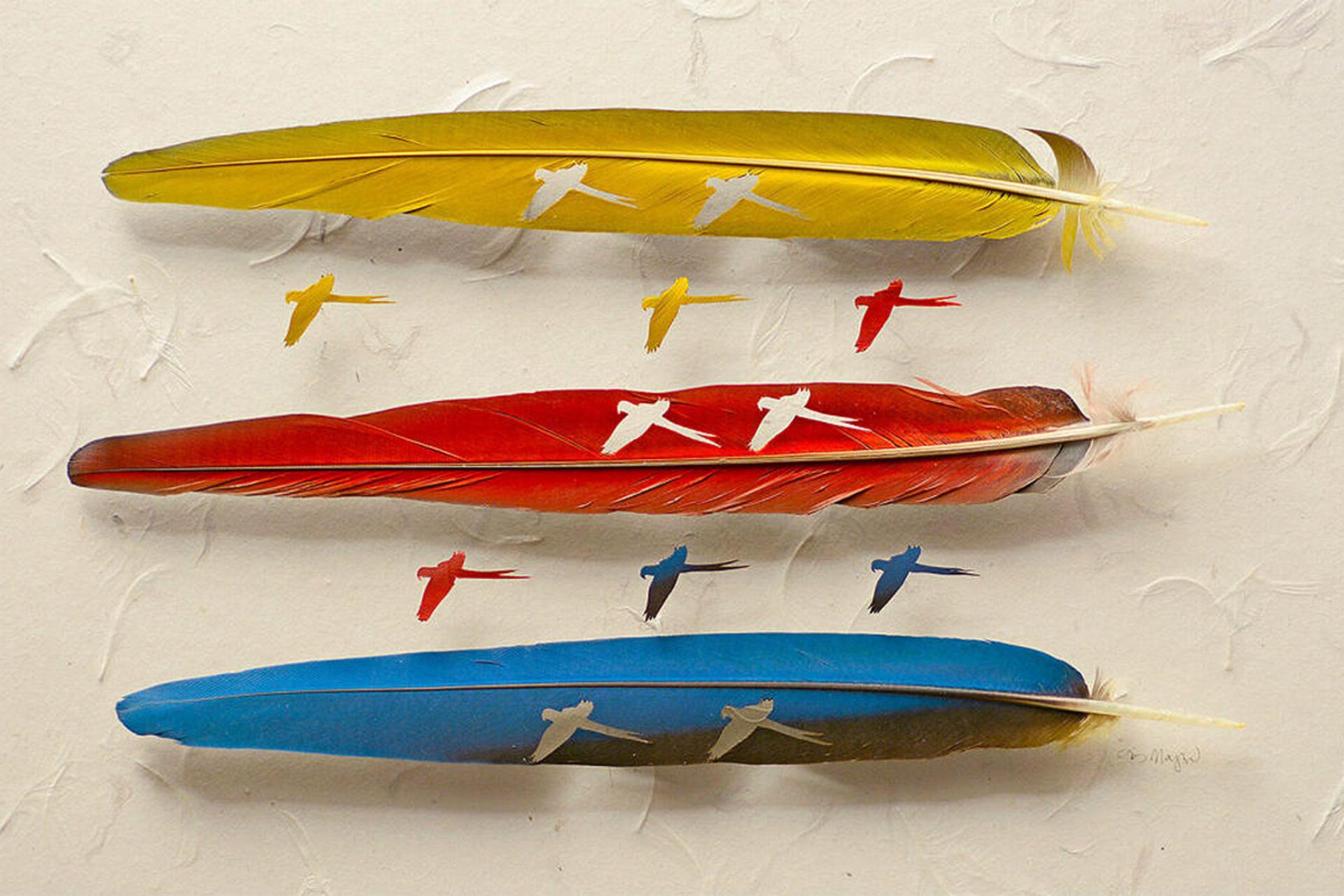 سه پر رنگ شده