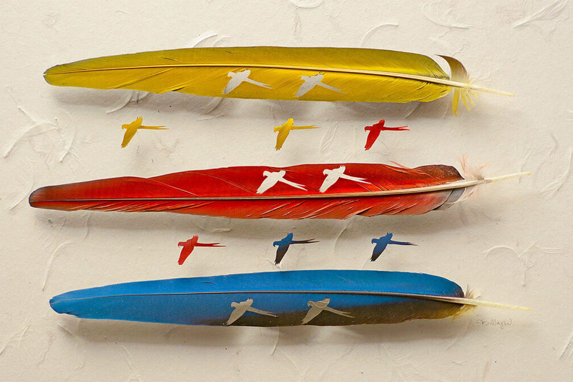 سه پر رنگ شده