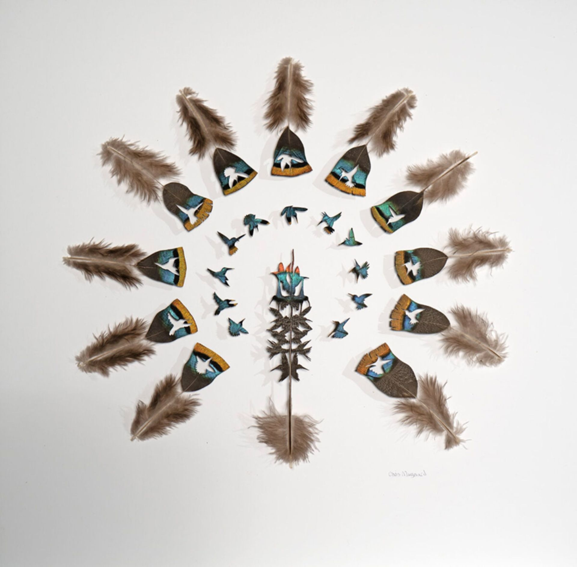 طراحی هنری با پرهای رنگی