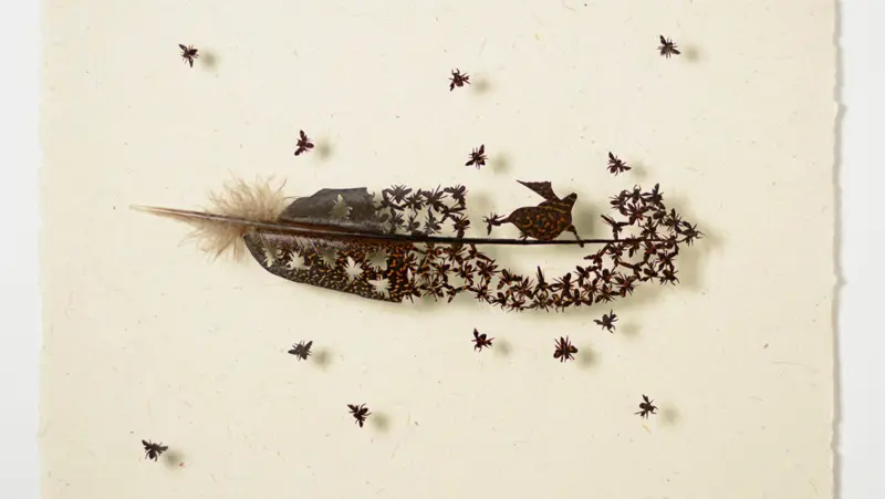 طراحی پرنده با پر