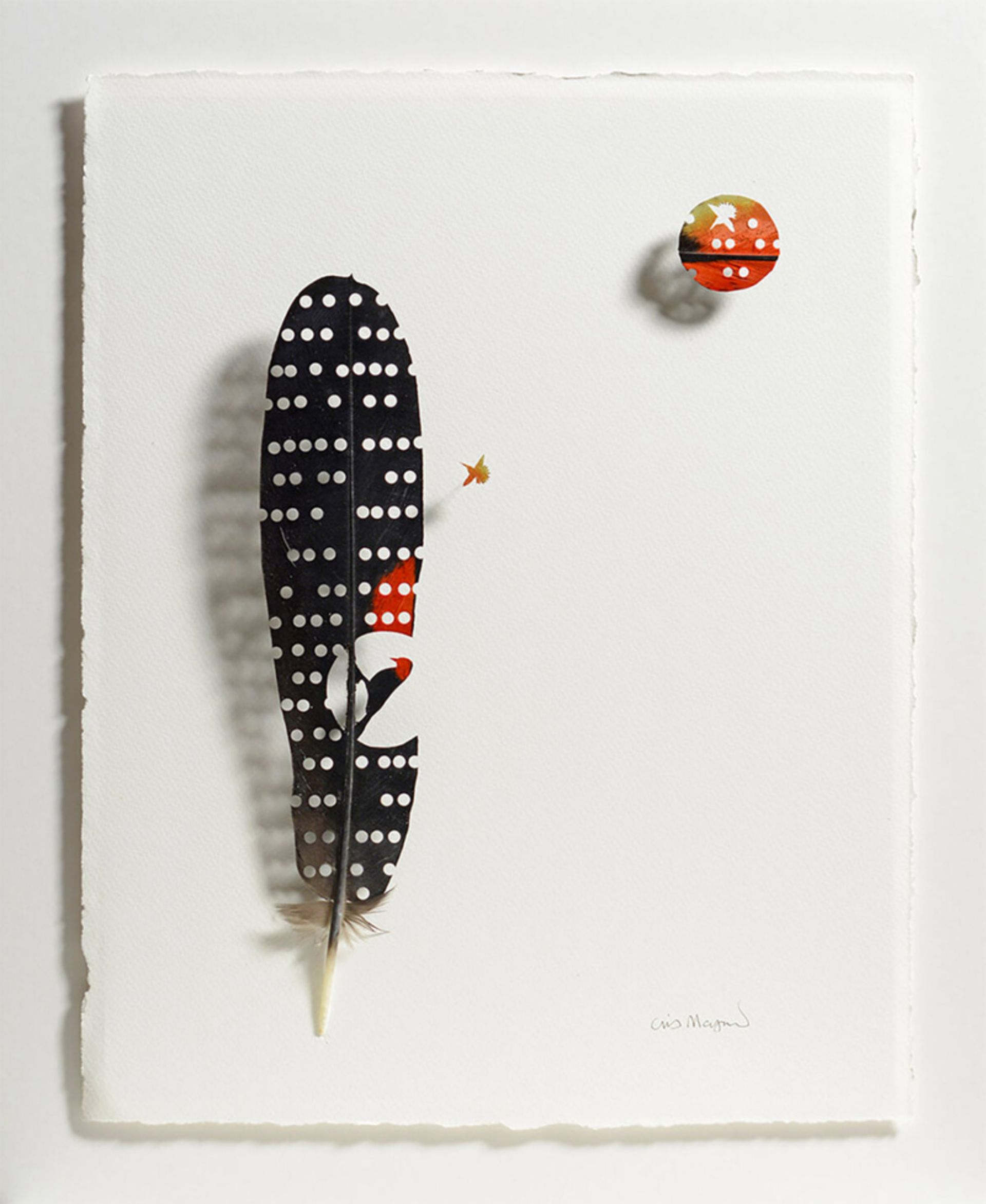 طراحی پرنده با پر سیاه