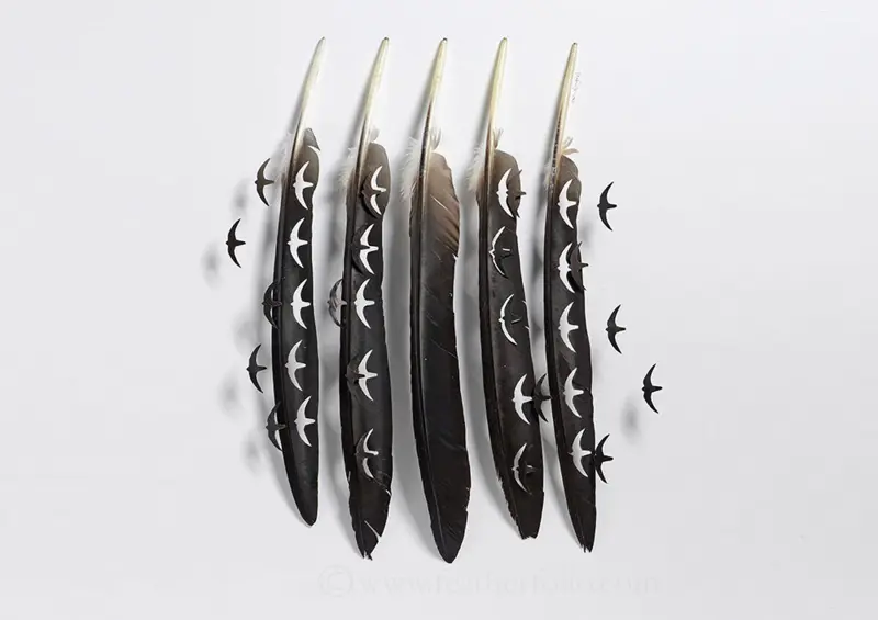 طراحی پرنده با چند پر سیاه