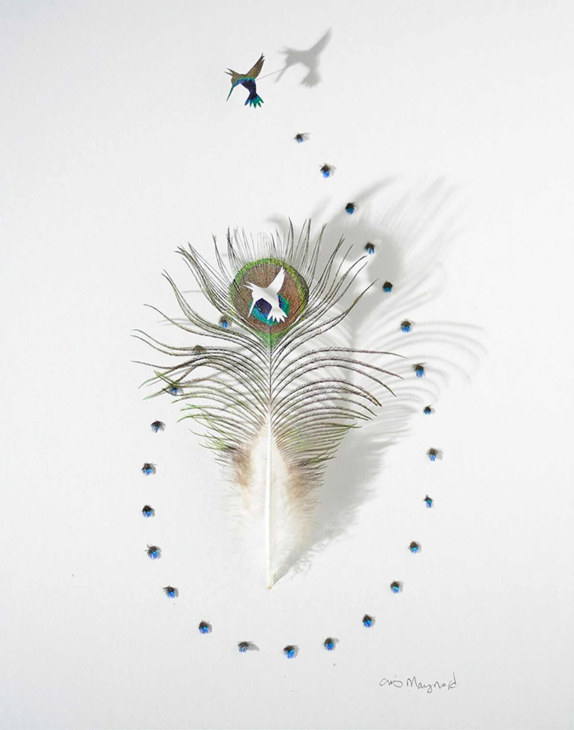 طراحی ب پر سفید