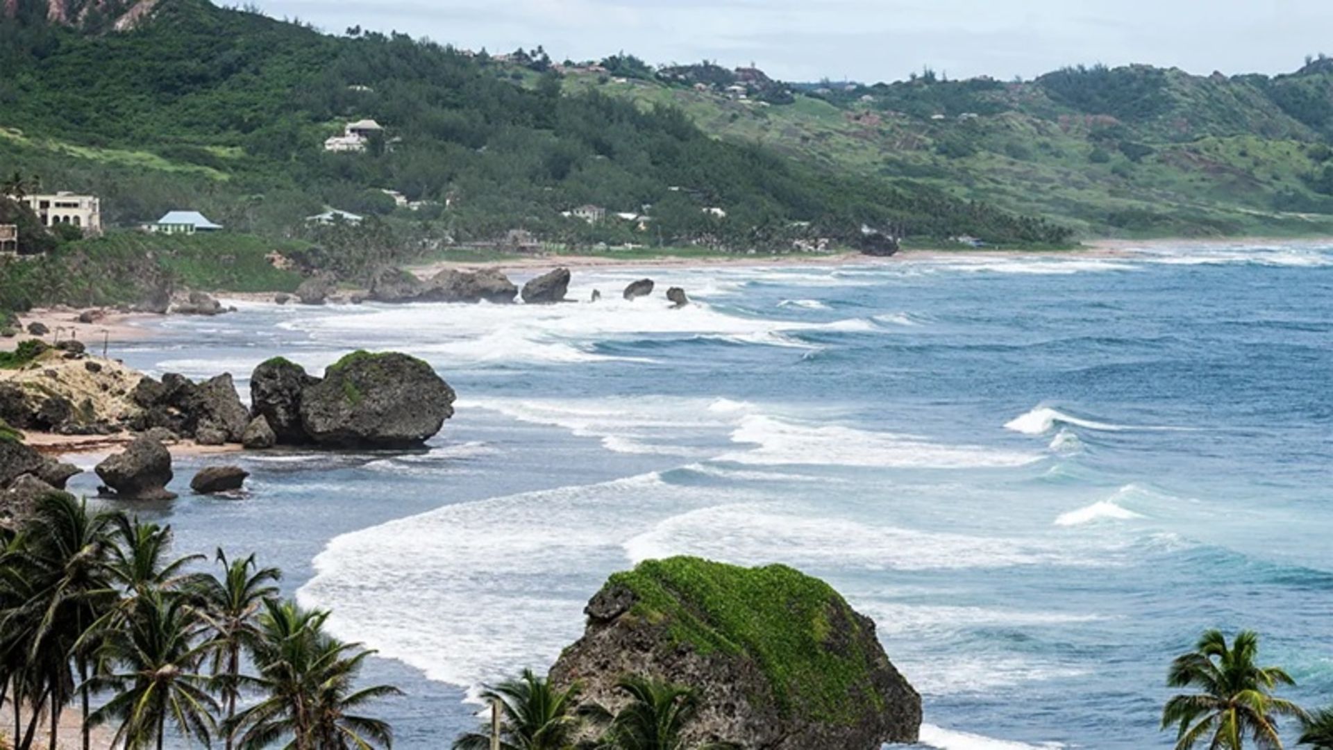 ساحل باربادوس