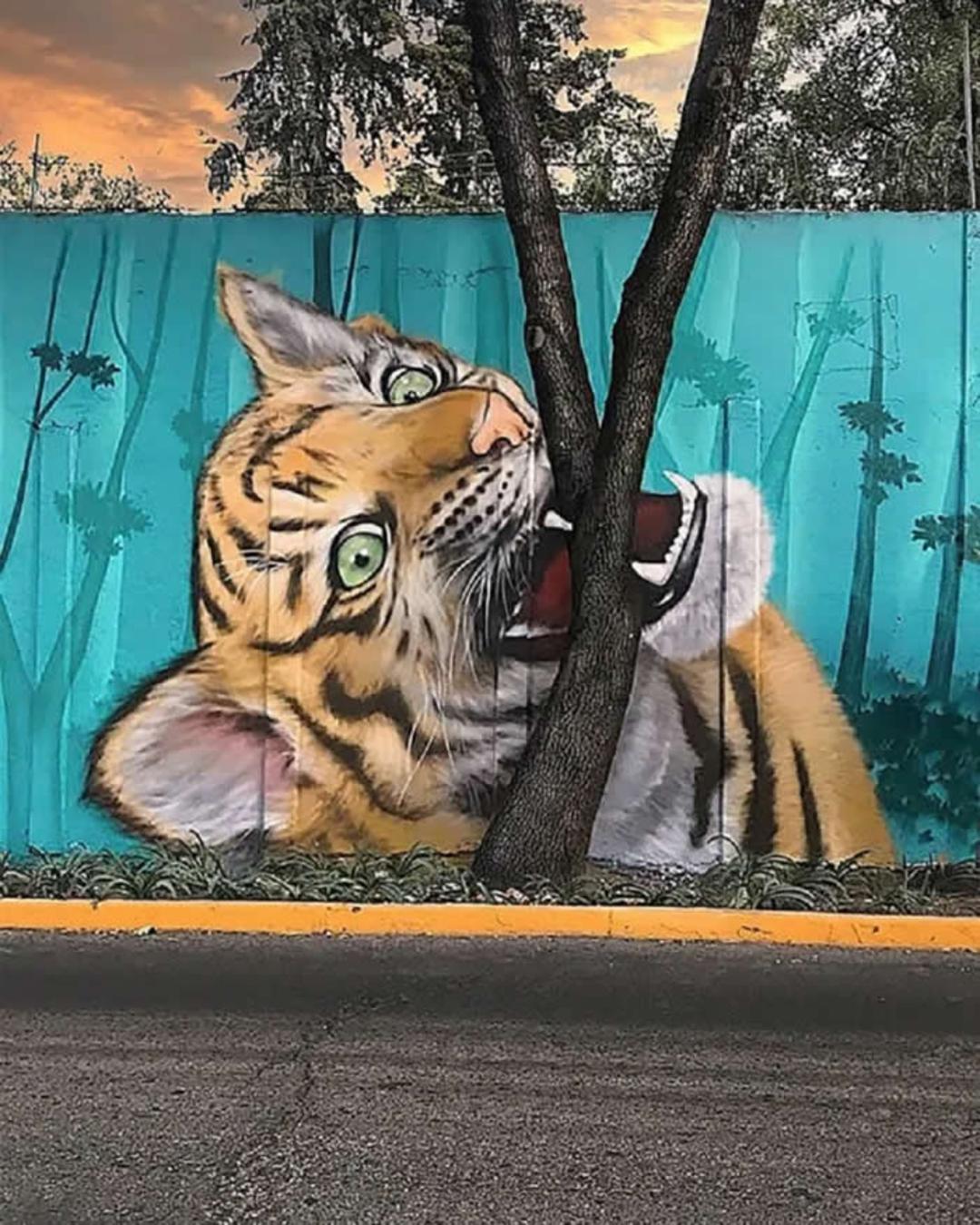 دیوارنگ بزرگ ببر (Tiger) روی یک دیوار آبی در فضای باز