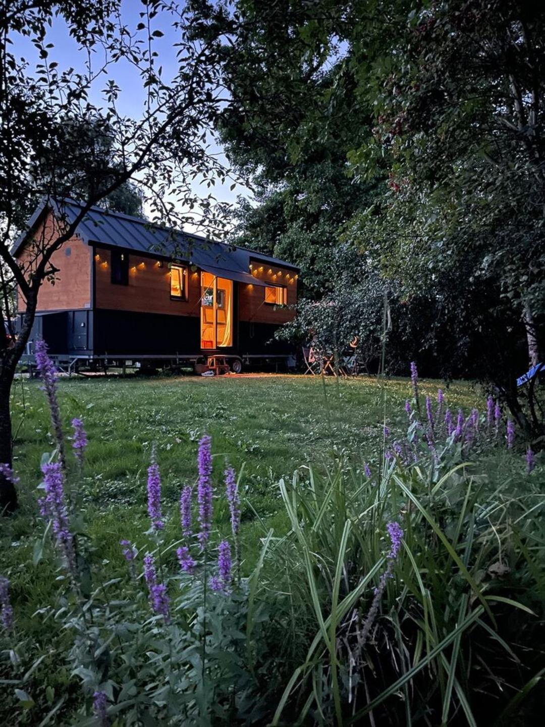 خانه کوچک (Tiny House) با نمای چوبی و پنجره‌های بزرگ در میان طبیعت