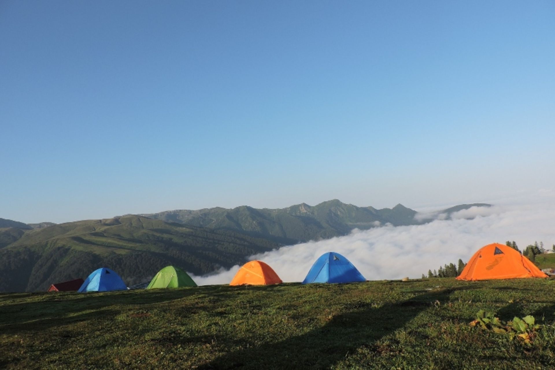 چادرهای رنگارنگ در کوهستان سرسبز
