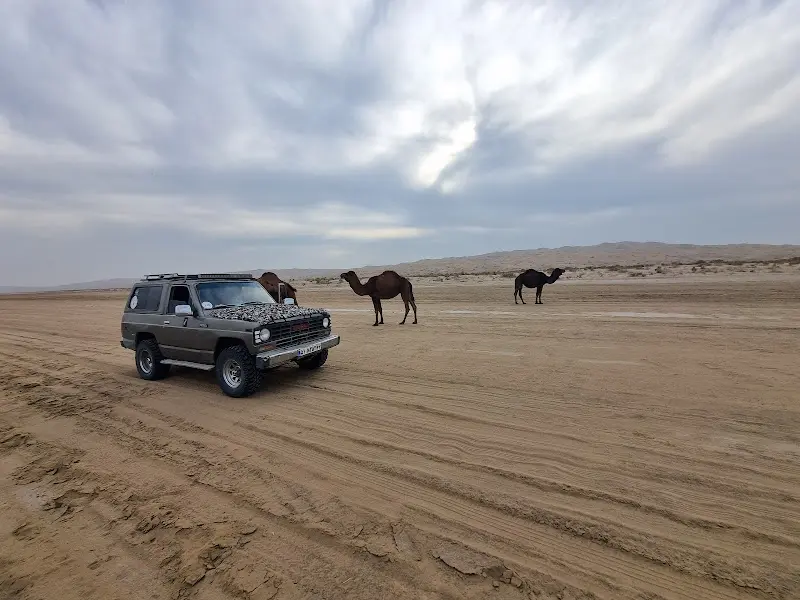 پاترول و شتر در کویر ابوزید آباد 