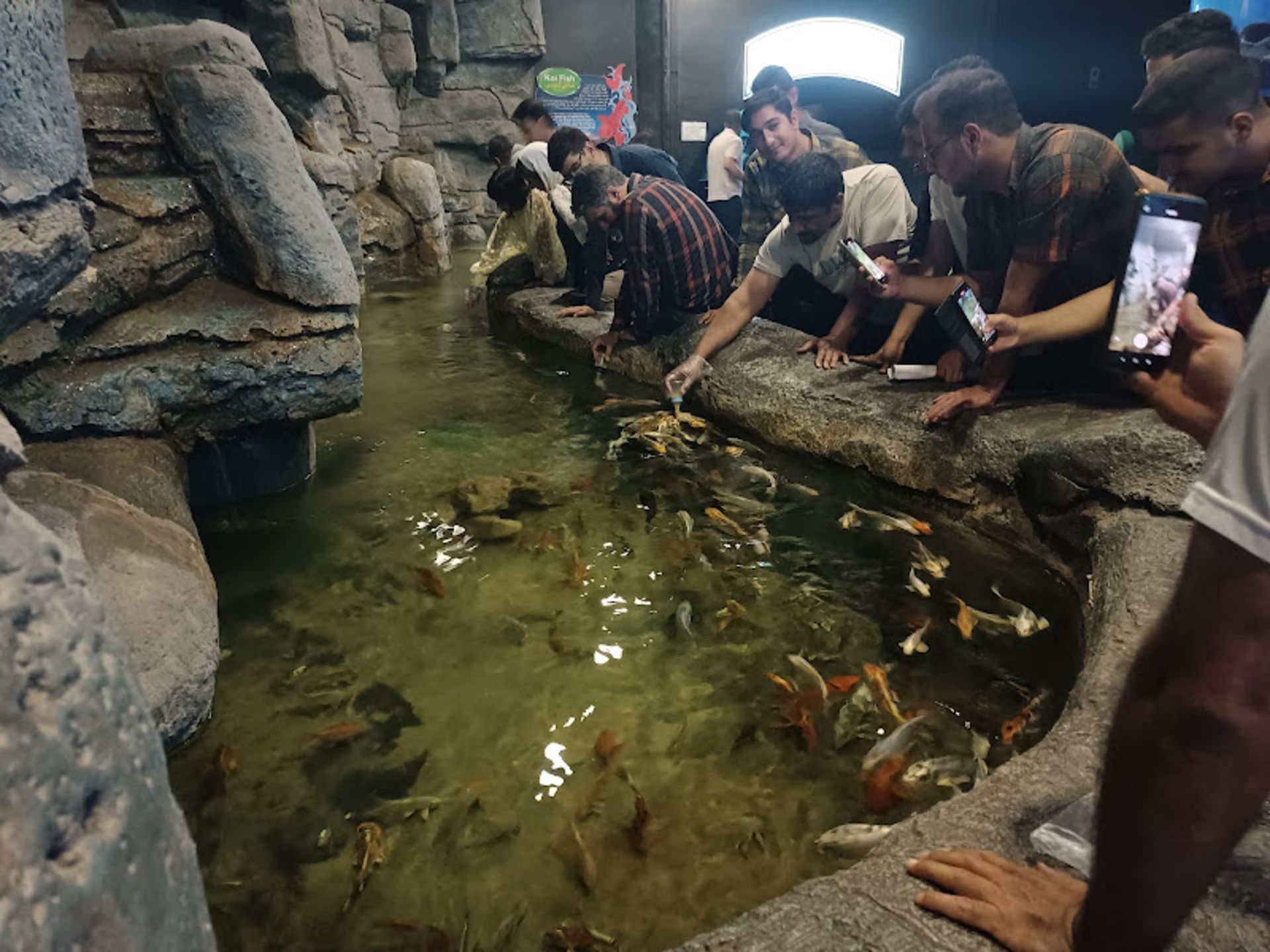 غذا دادن به ماهی ها در آکواریوم اصفهان