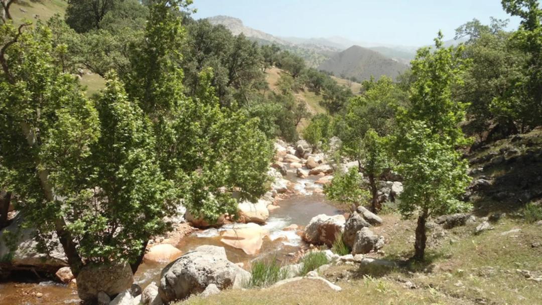 آبشار وارک و مناظر اطراف 