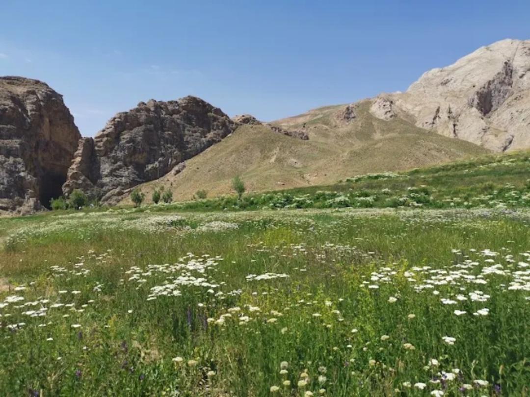 دشت تنگه واشی در بهار