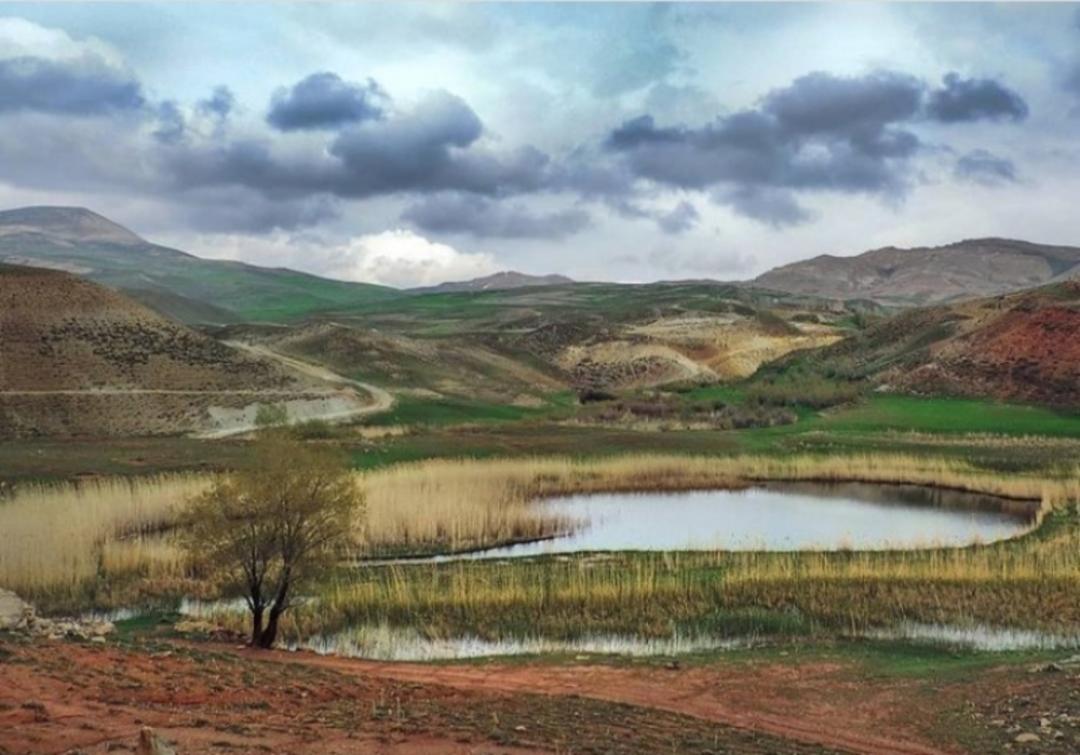 چمن متحرک چملی در هوای ابری
