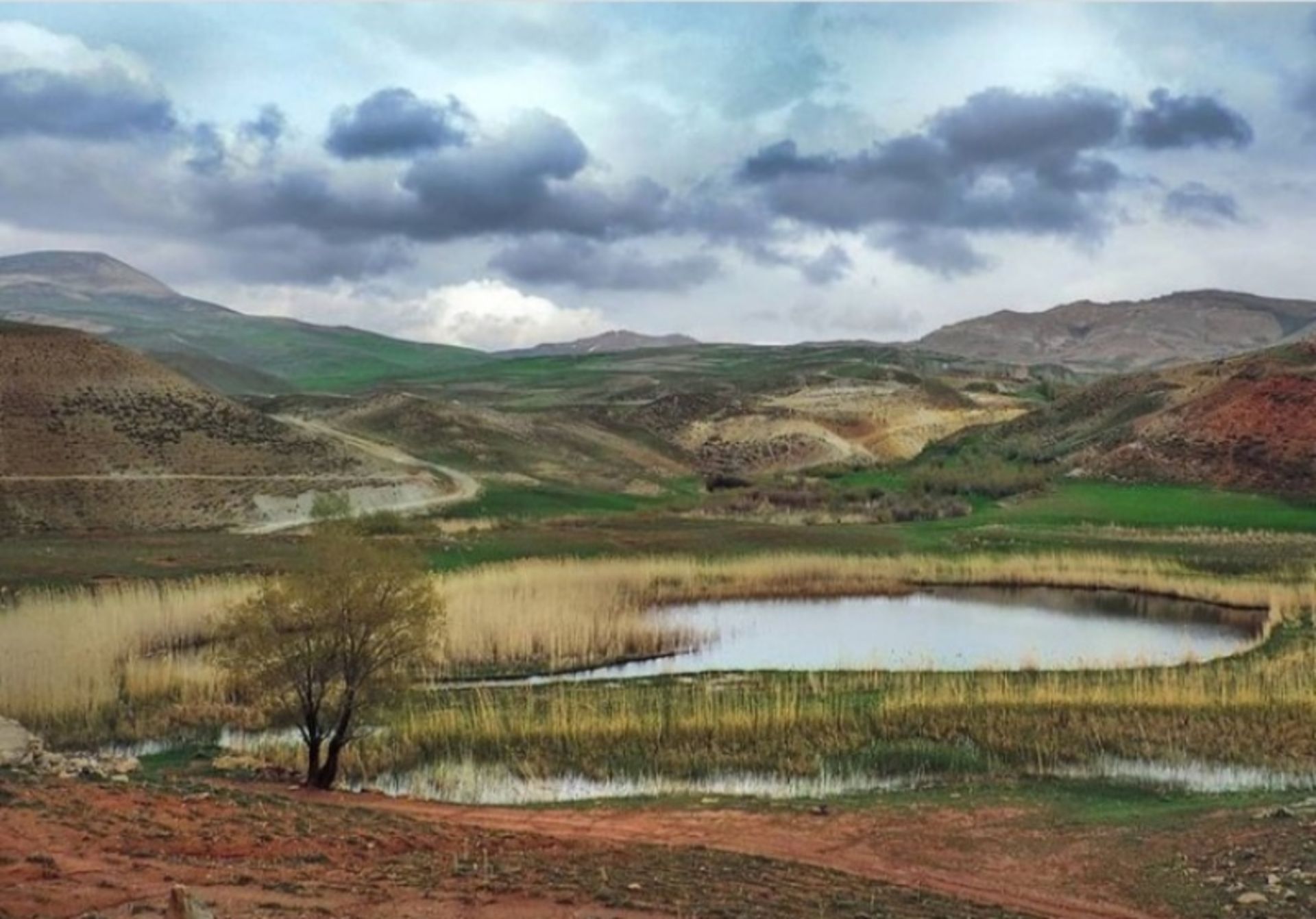 چمن متحرک چملی در هوای ابری