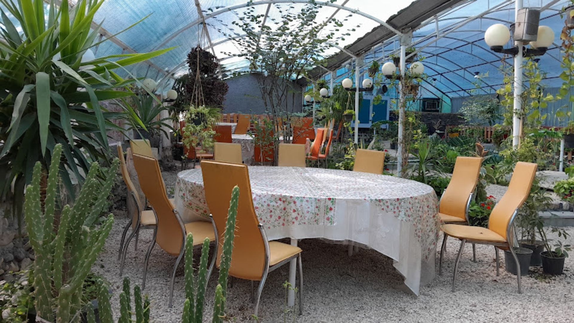 فضای سرسبز باغ رستوران شب بو شاهرود