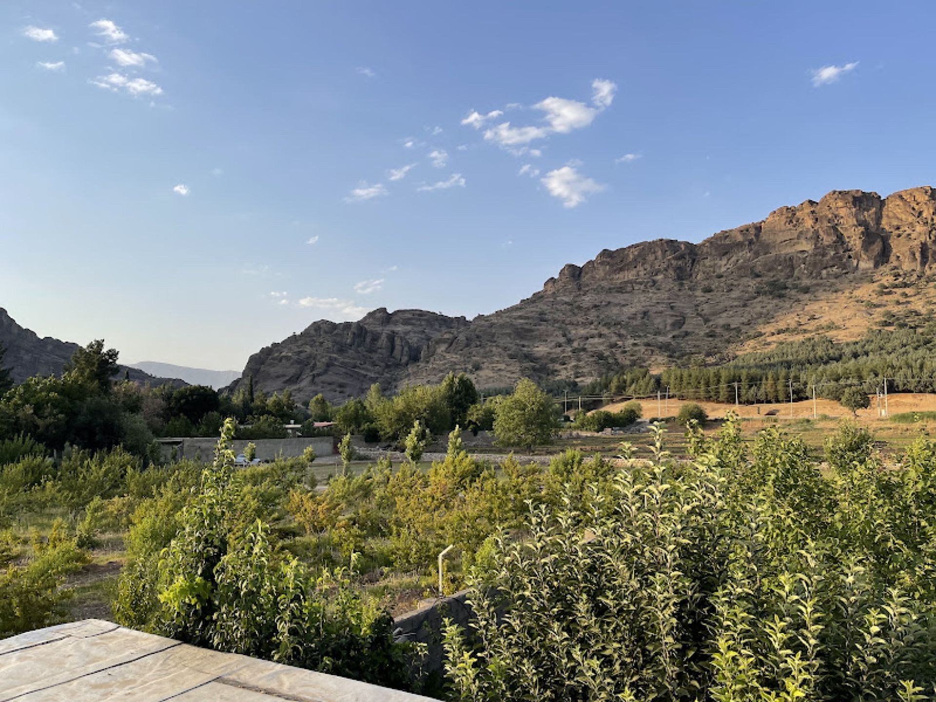 فضای سرسبز پارک جنگلی مخملکوه
