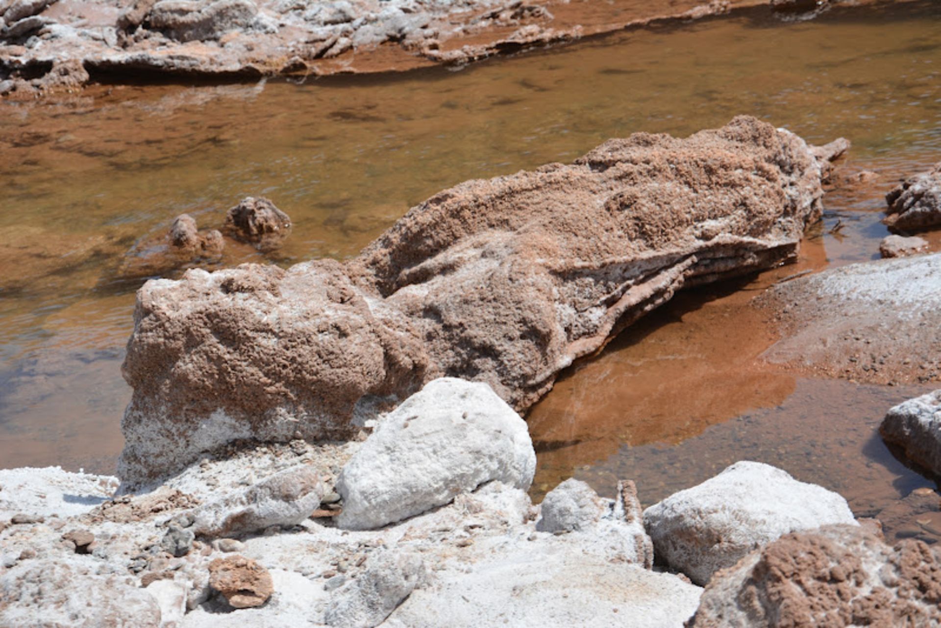رود شور در کویر شهداد