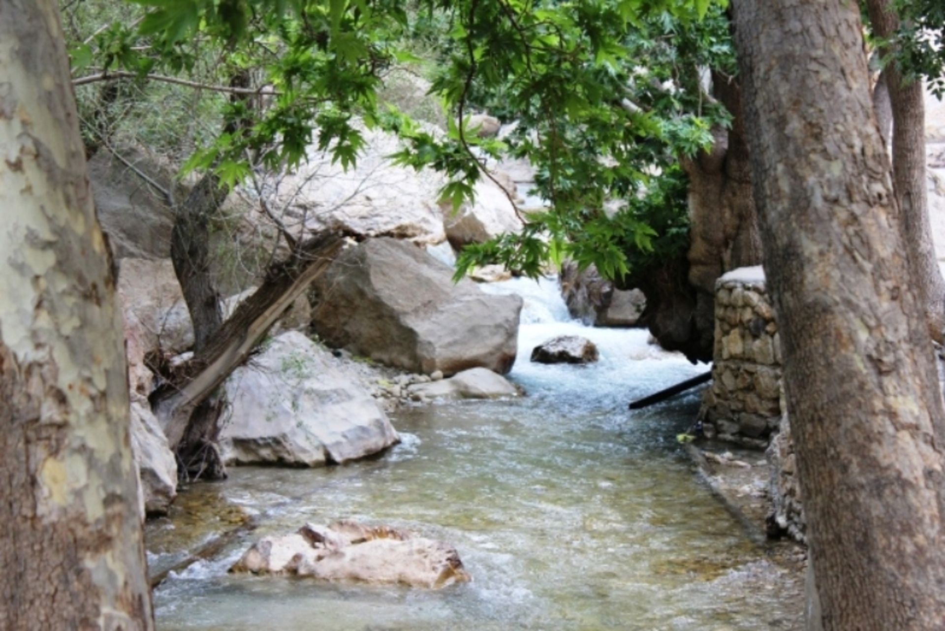 رودخانه خروشان در تنگ مهریان