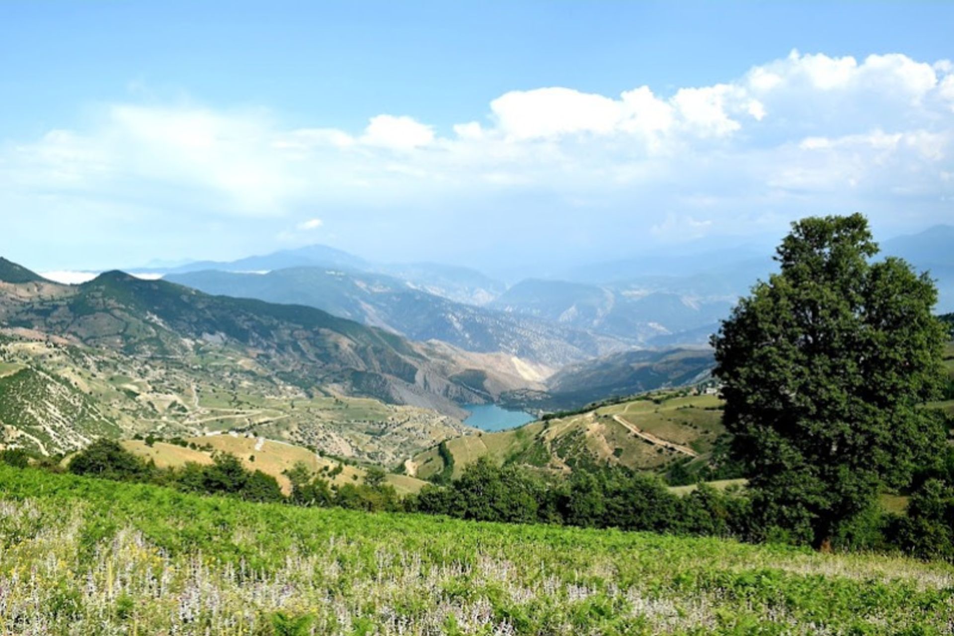طبیعت دریاچه ولشت در تابستان