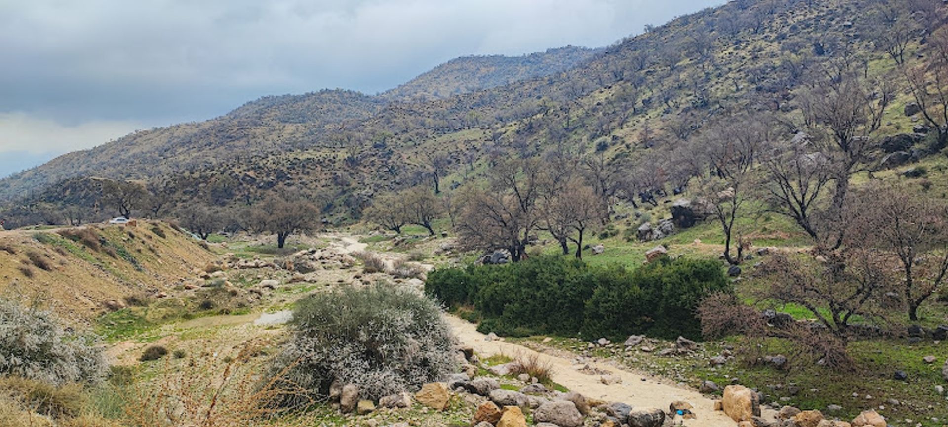 طبیعت سرسبز تنگه بوان در فصل بهار