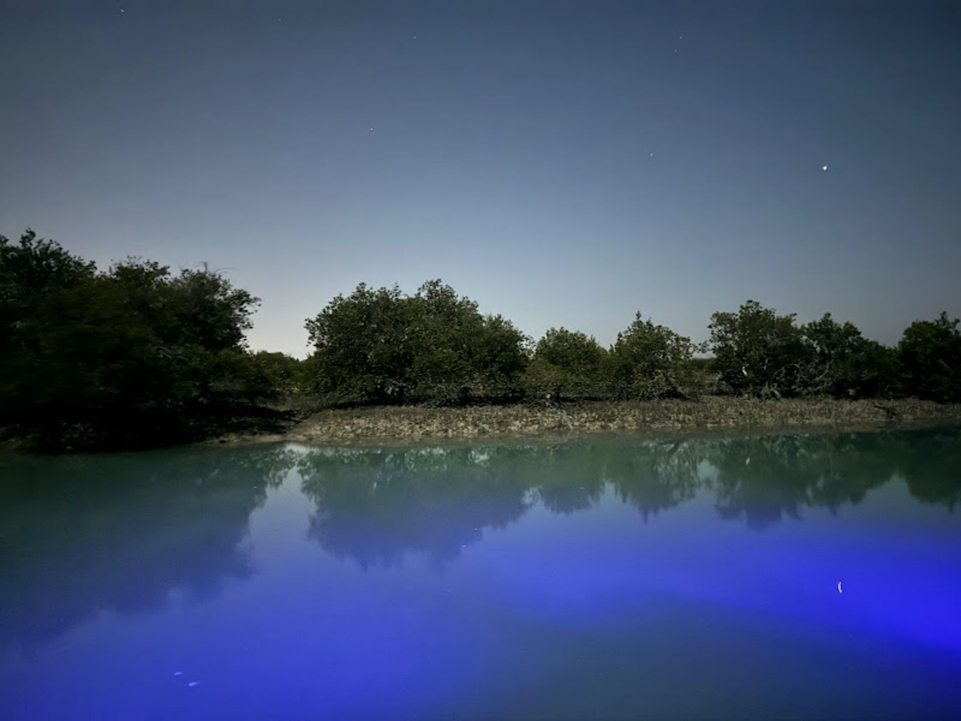 انعکاس در آب جنگل حرای قشم