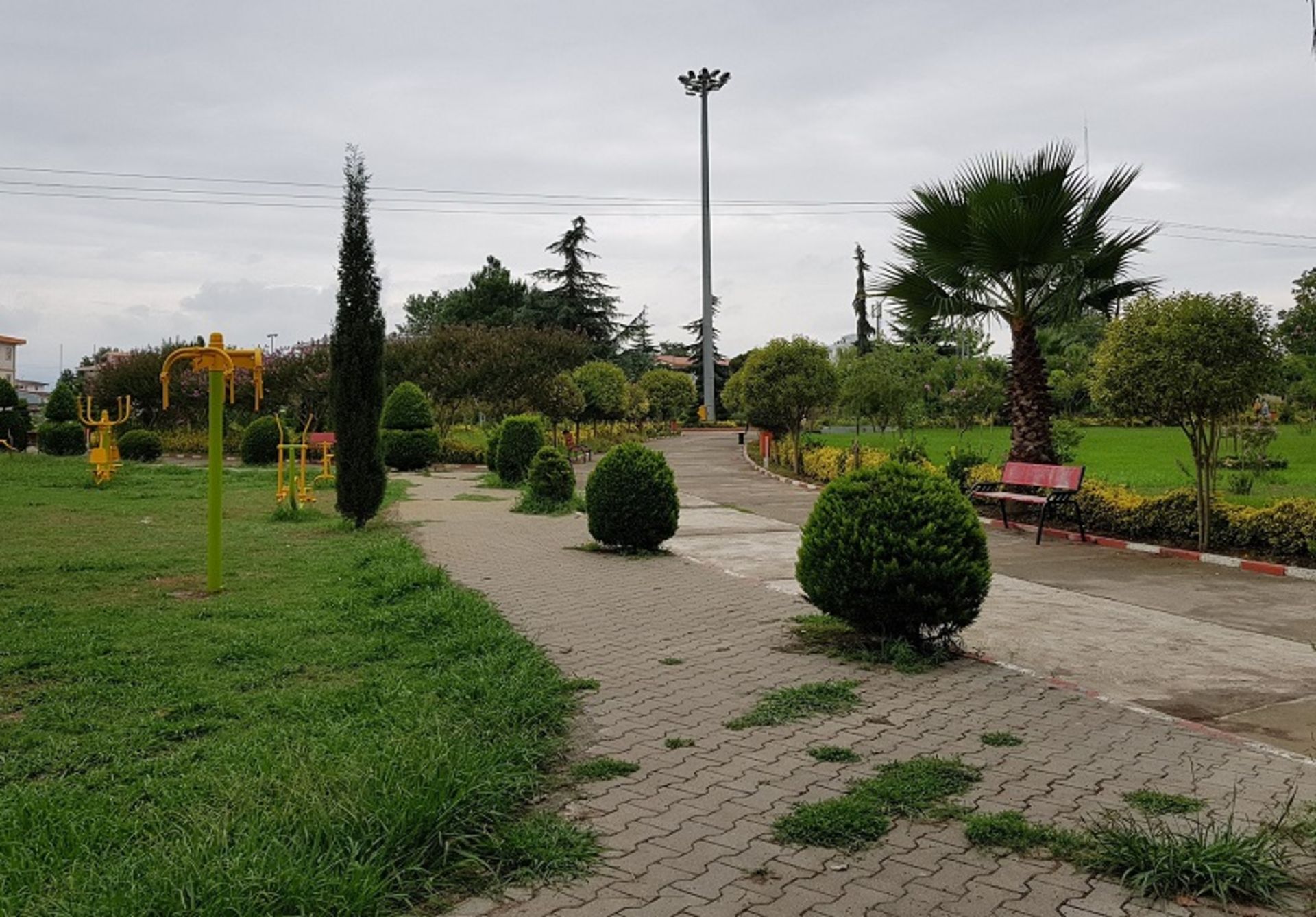 طبیعت سرسبز پارک ملت رودسر در هوای ابری