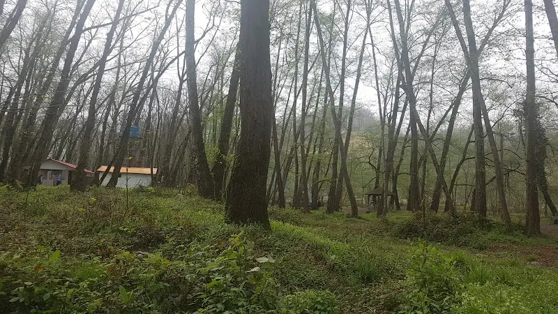 طبیعت پارک جنگلی فین چالوس