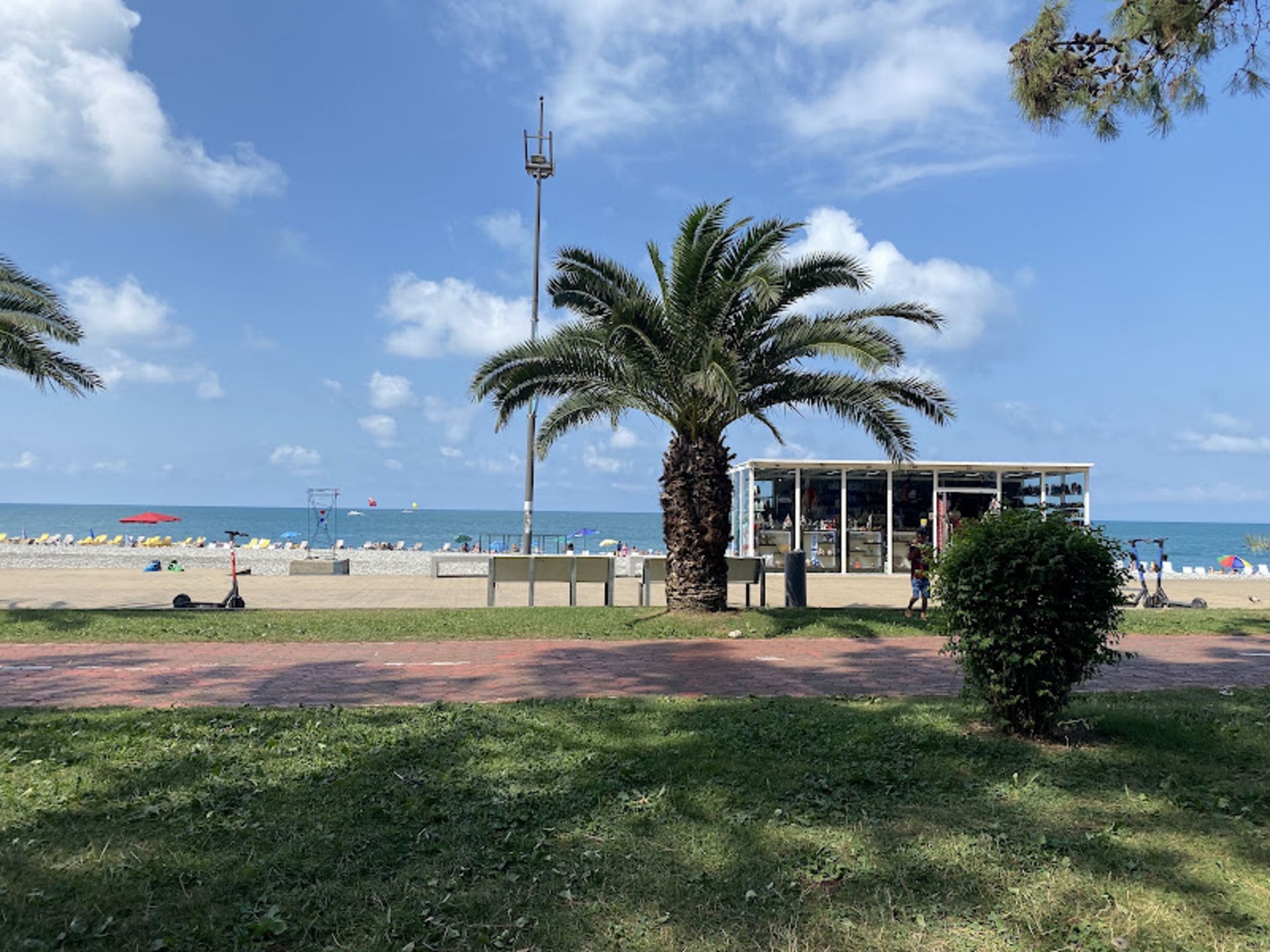 طبیعت سرسبز سواحل باتومی در تابستان