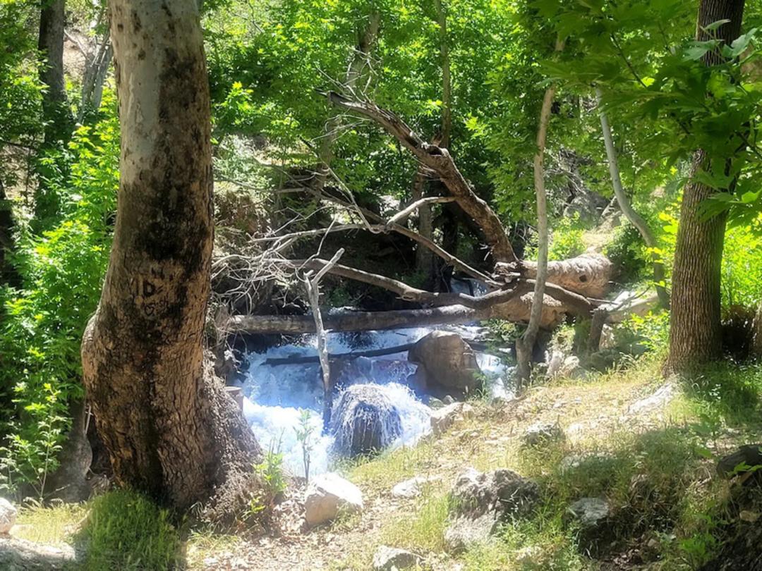 آبشار وارک در لرستان