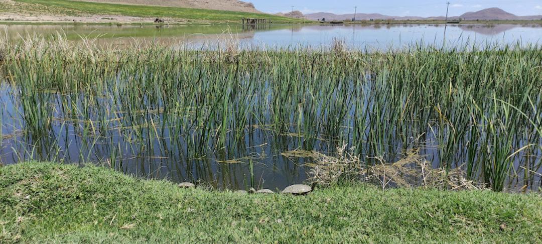 طبیعت تالاب کانی برازان