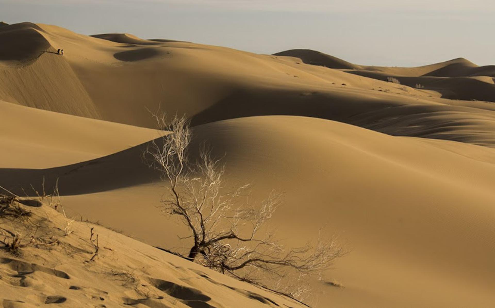 رمل های طلایی در پارک ملی کویر