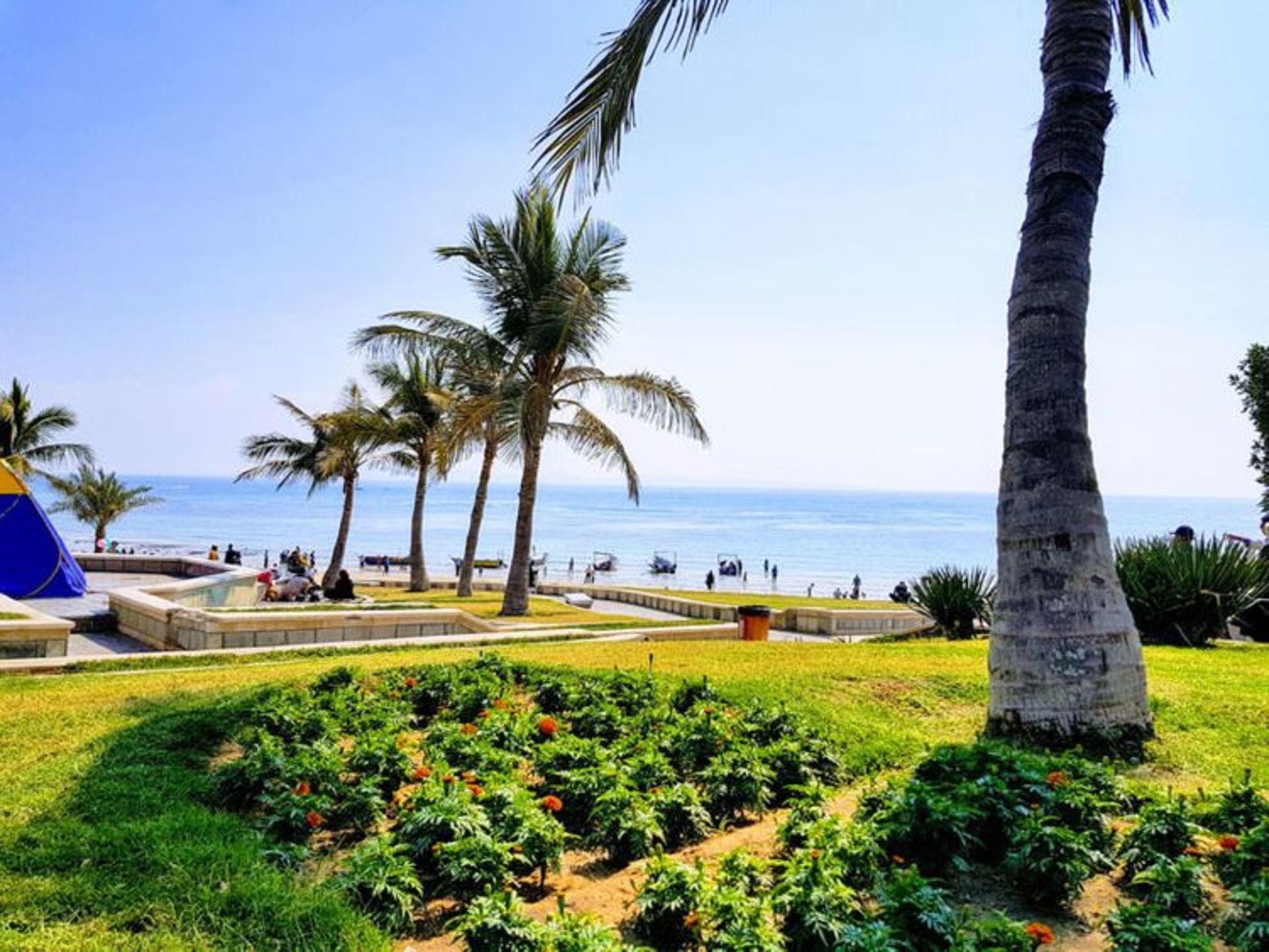 منظره رو به دریا در بوستان زیتون قشم