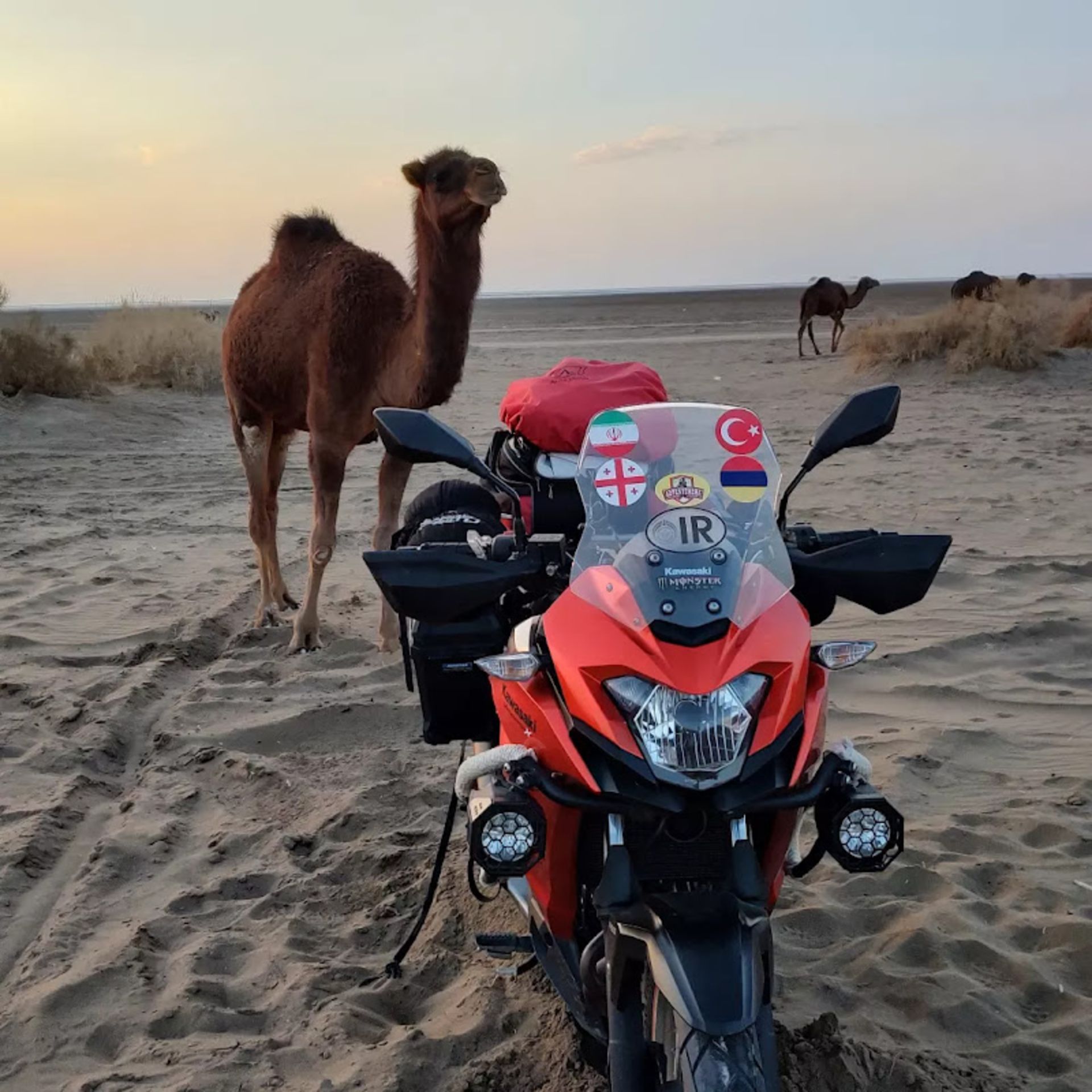 موتور سواری و شتر سواری در کویر مرنجاب