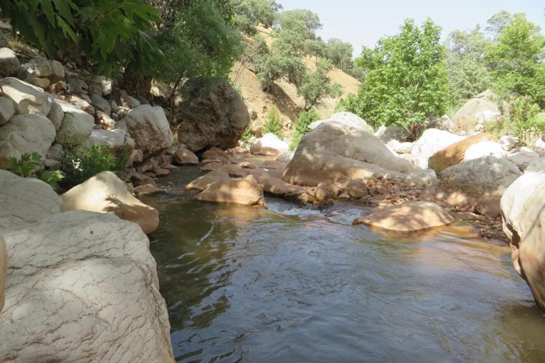 آبشار وارک و مناظر اطراف 
