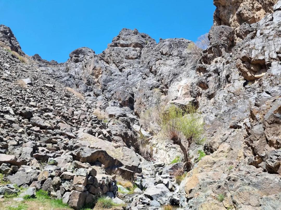 روستای طامه