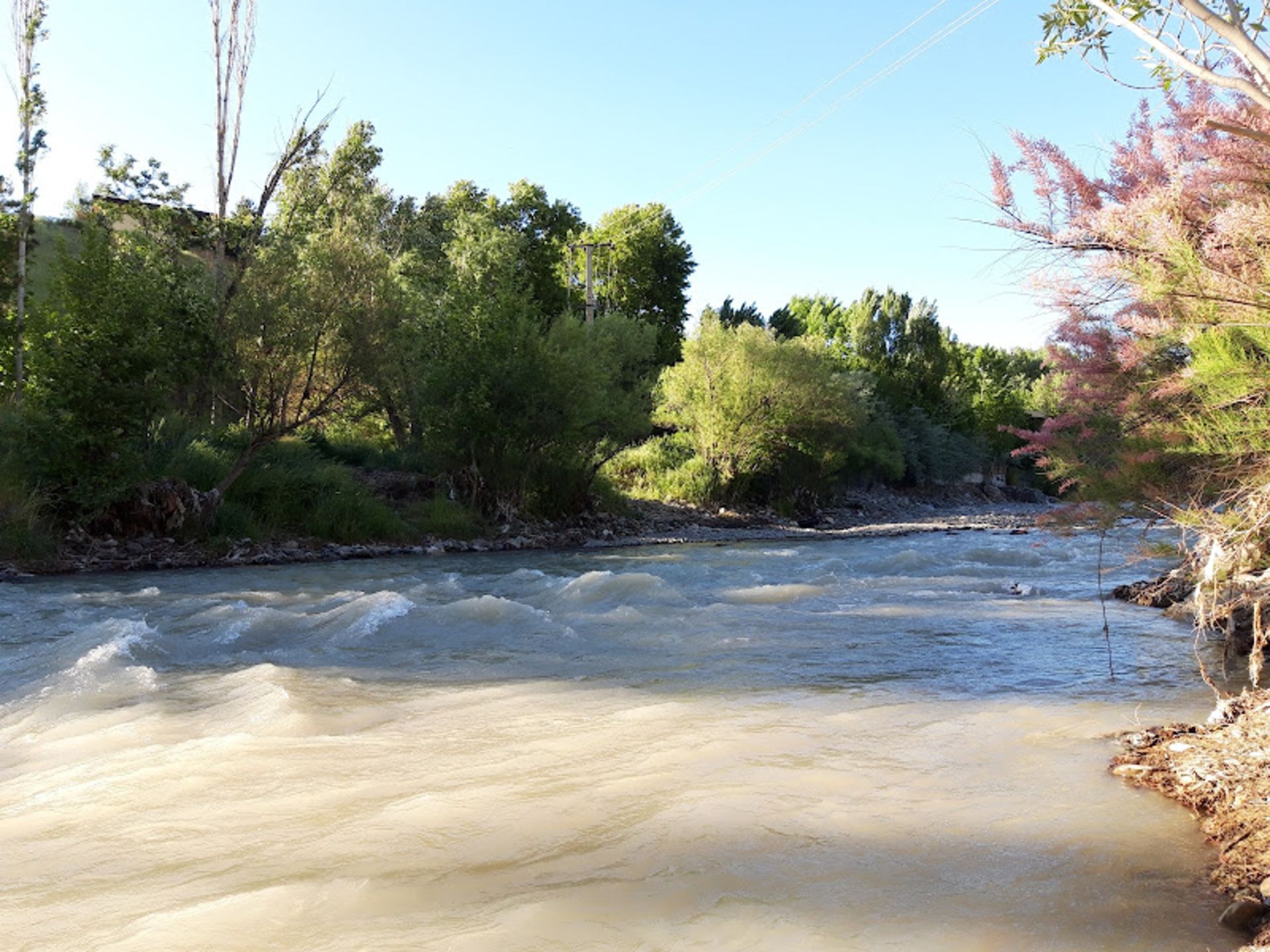 طبیعت سرسبز رودخانه کردان